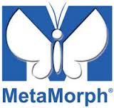 MetaMorph